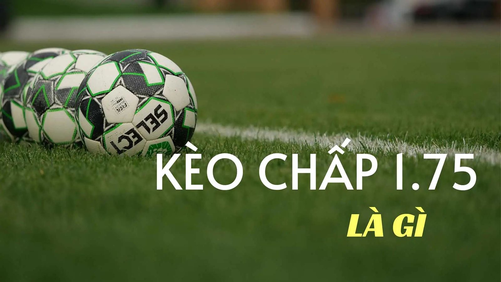 Thắng Lớn với Tỷ Lệ Kèo Bóng Đá Bí Kíp Từ Chuyên Gia